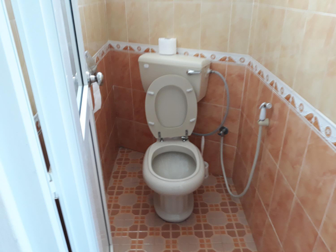 4, Trochetia villa