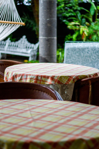 Food & Drinks 5, Casa de Luz, Guadalajara