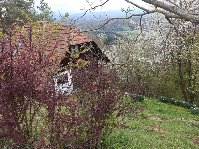 5, Serenity, Šentjur pri Celju
