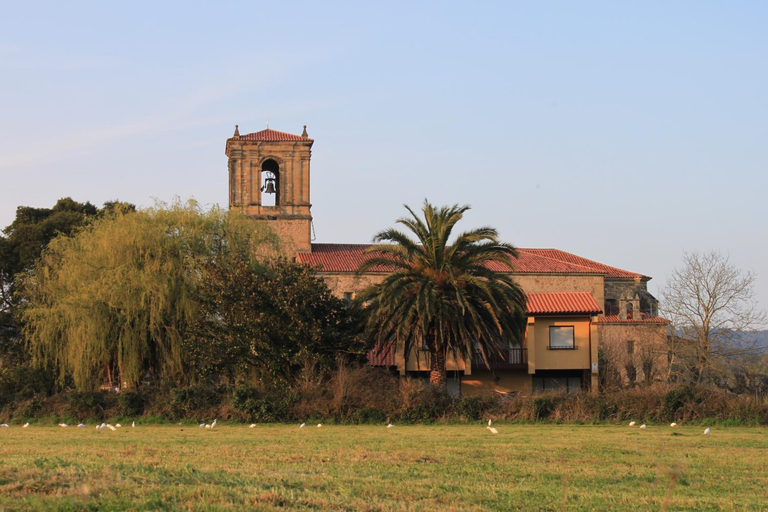 Others 4, Las Solanas de Escalante-NEW, Cantabria