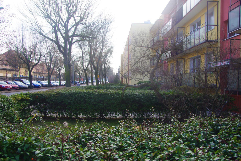 Others 4, Apatramenty Promienista, Poznań City