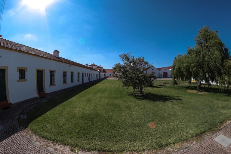 Casas do Monte, Palmela
