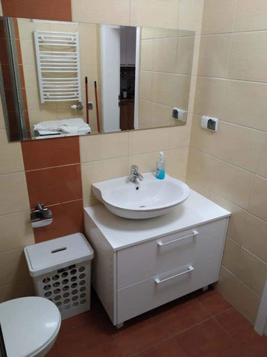 Bathroom, Apartament Antolka, Tatra