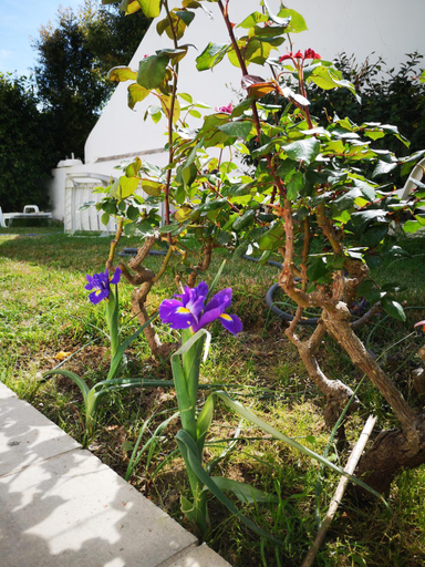 Others 5, Nature Guesthouse, Lagos
