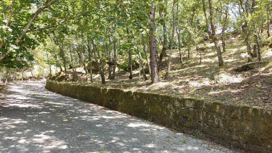 Others 5, Casa de Apeleiras, Marco de Canaveses