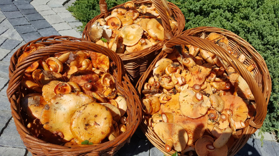 Food & Drinks 4, Malowane Wierchy, Gorlice