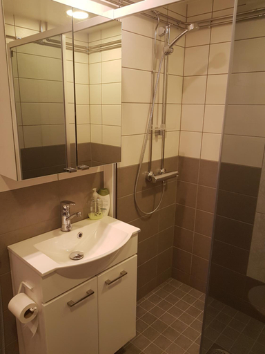 Bathroom 3, Gasthaus Patruuna, South Karelia