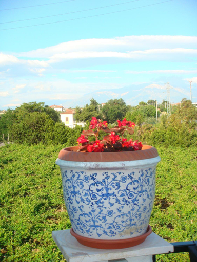 Food & Drinks, B&B Costa D'Abruzzo, Chieti