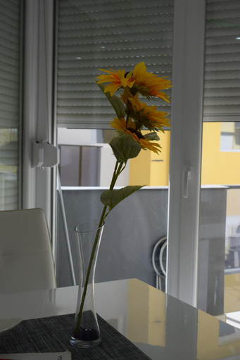 Others 5, Apartmani K&V, Veliko Gradište