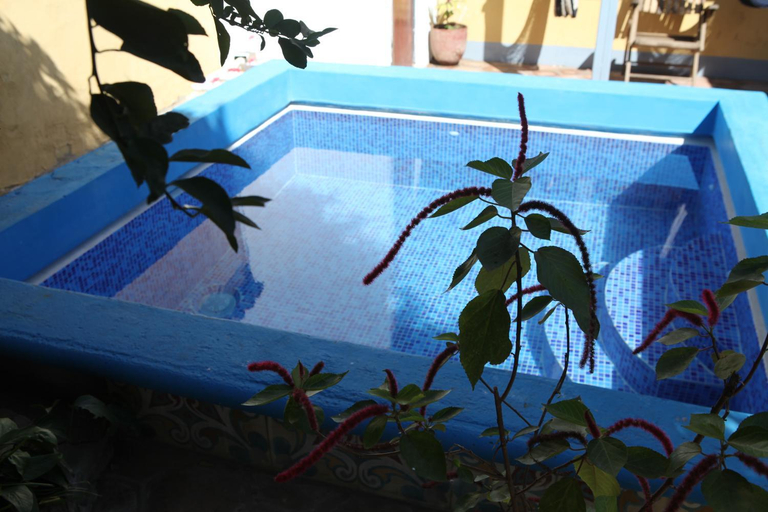 Sport & Beauty 4, Hostal La Tortuga Booluda, León