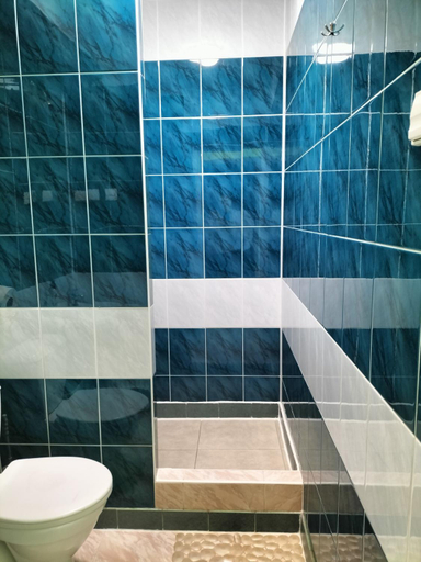Bathroom 5