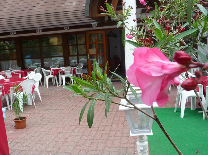 Food & Drinks 3, Oleander B&B, Siófok