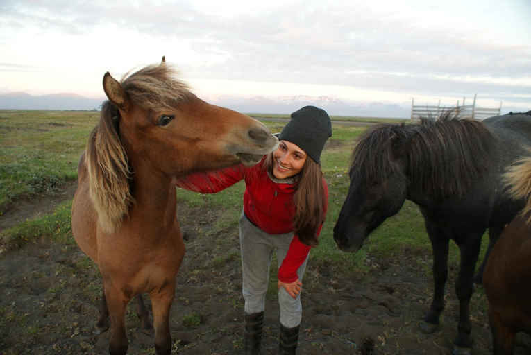 Others 5, Husey Hostel & Horsefarm, Norður-Hérað