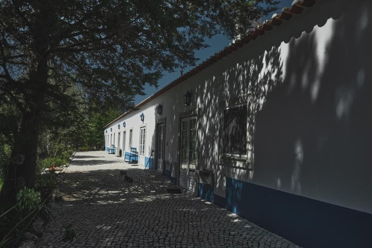 Exterior & Views 2, Quinta dos Anjos, Santarém