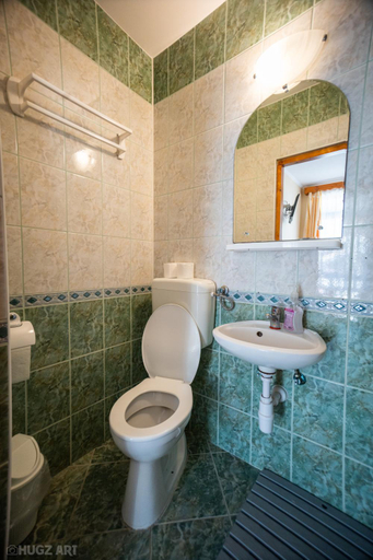 Bathroom 3, Pensiunea Viktoria, Baile Tusnad
