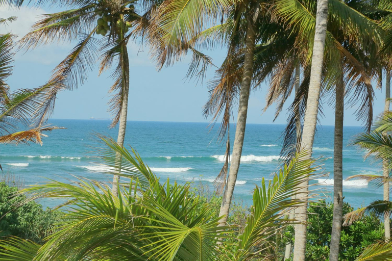 Others 4, Coconut Hill Homestay, Weligama