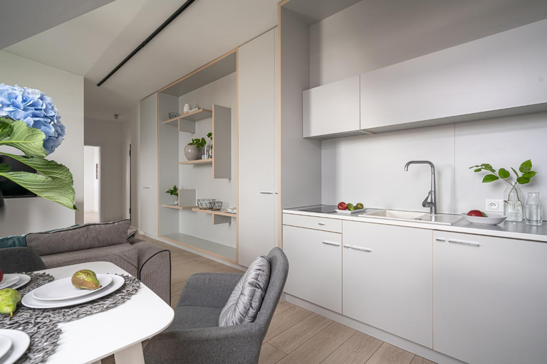 Others 5, Apartamenty na Kazamatach 24 Old Town Wroclaw, Środa Śląska