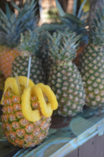 Food & Drinks 5, Life is Good, Bocas del Toro