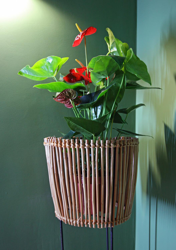 Food & Drinks, 29 Madeira Hostel & Guesthouse by Petit Hotels, Funchal