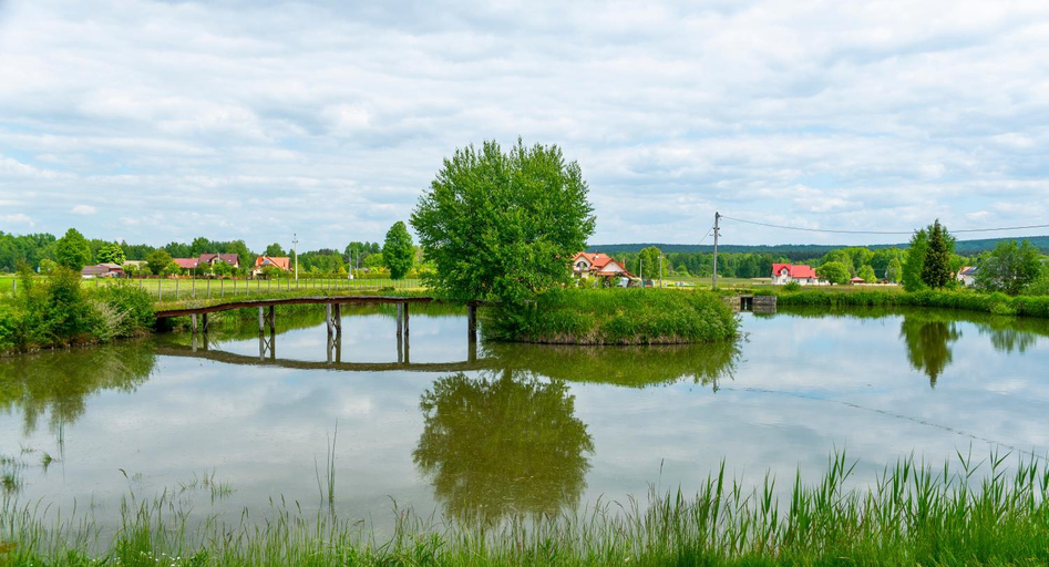 Others 4, Rajskie Siedlisko, Końskie
