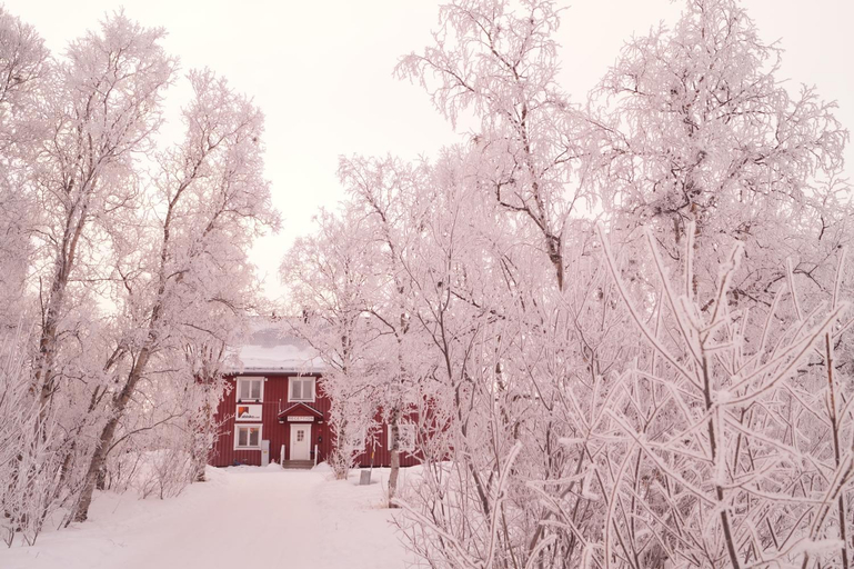 Others 5, Abisko net Hostel & Huskies, Kiruna