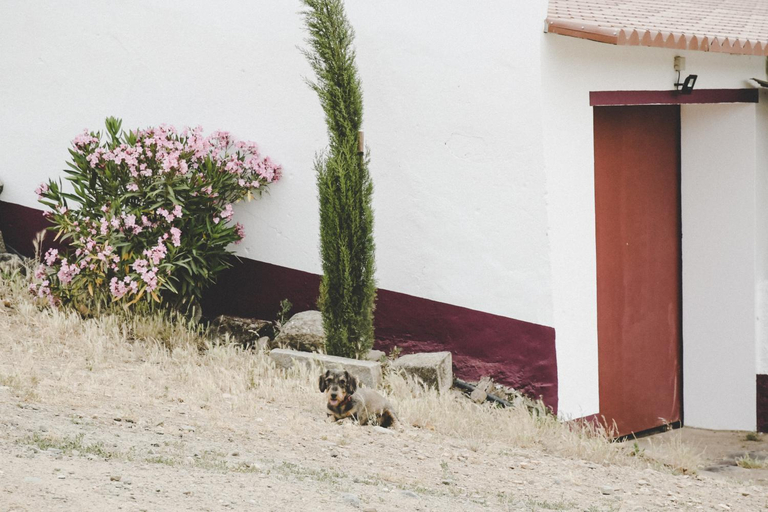 Others 4, Casas da Faia - Nature Guest House, Arronches