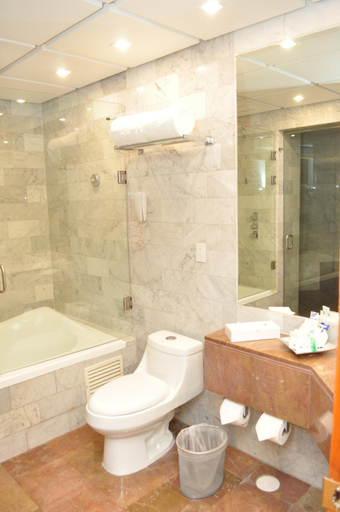 Bathroom 5, Royal Pedregal, Mexico City