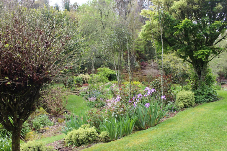 Others 4, Aramatai Gardens, Waitomo