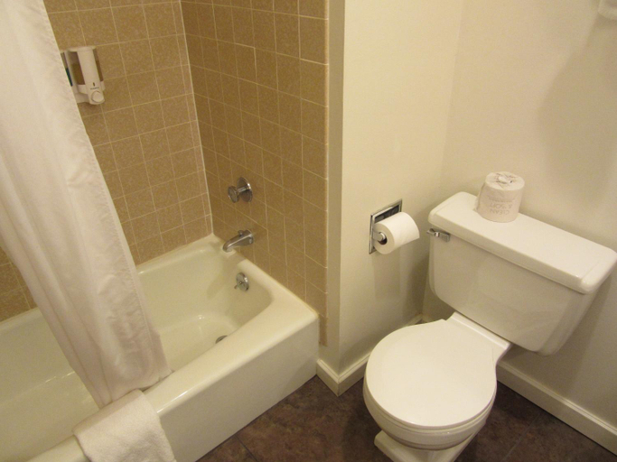 Bathroom 4, White Buffalo Hotel, Gallatin