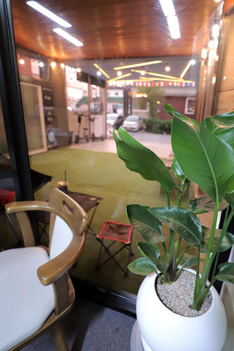 Others 5, Stay RomanticTrip_Hostel, Gyeongju