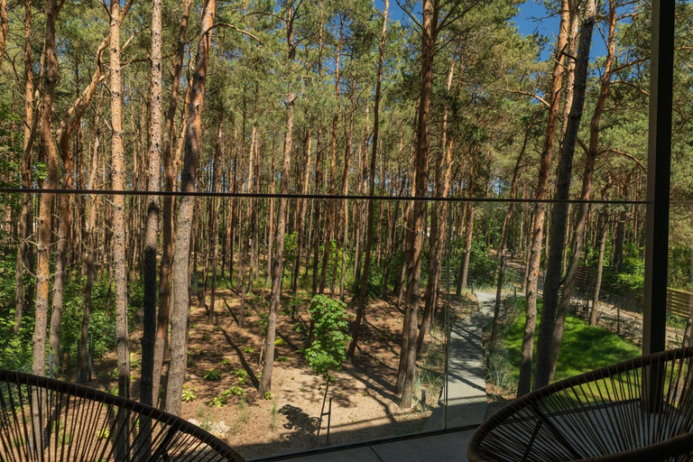 Others 5, Apartamenty In - Wladyslawowo, Puck
