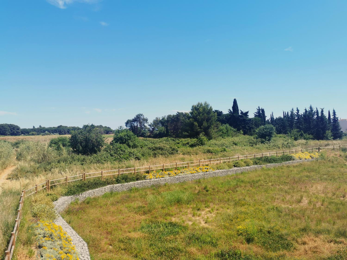 Surrounding environment