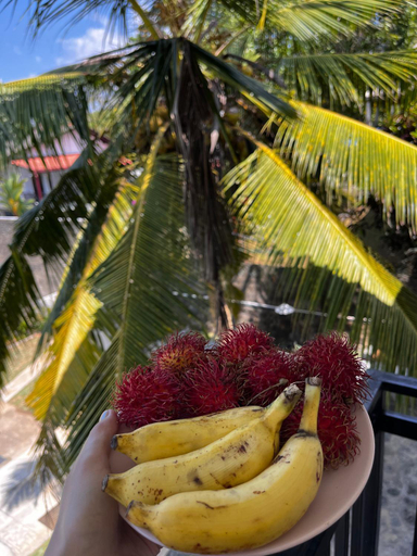 Food & Drinks, WILSON VILLA, Hikkaduwa