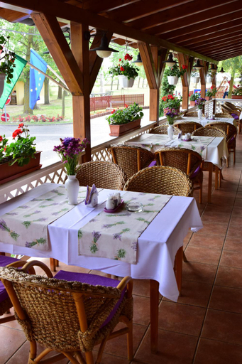 Food & Drinks, Hotel Bibic**** es Tuskevar Panzio es Horgaszto, Nyíregyháza