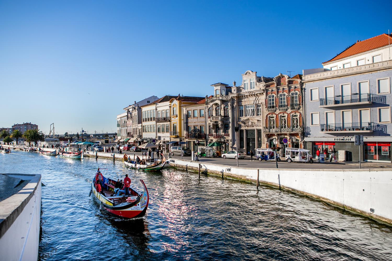 Exterior & Views, O Cardanho dos Galfarritos - A Casa dos Miudos, Aveiro
