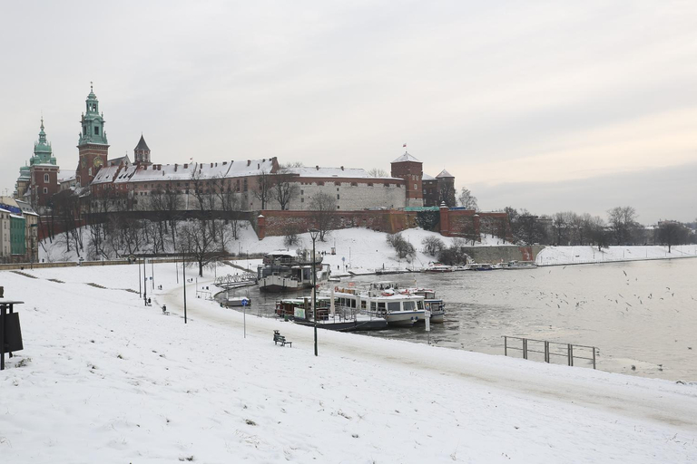Others 4, Apartment next to Wawel Castle, Vistula River & Old Town Cracow, Kraków City