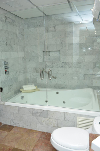 Bathroom 5, Royal Pedregal, Mexico City