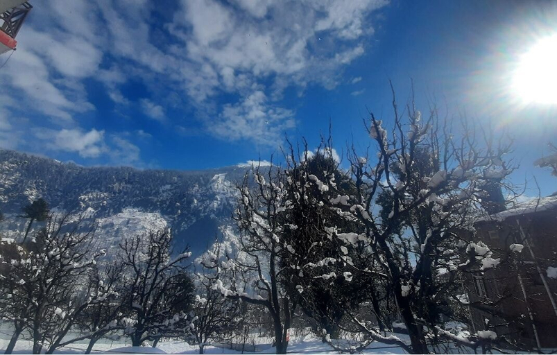 Others 5, Apple Field House - Hotel in Old Manali, Kullu