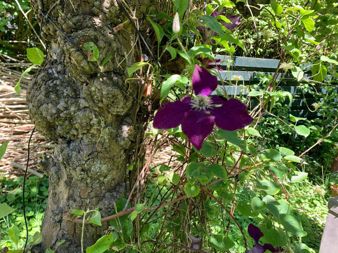 Others 4, B&B De Vlasboerderij, Schouwen-Duiveland