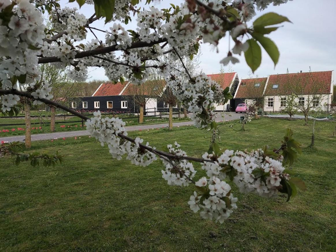 Others 2, de Tulp, Schouwen-Duiveland