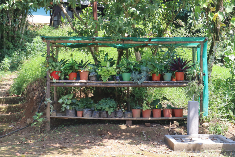 Others 4, Penuel Homestay, Darjiling