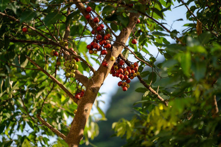 Others 5, Tan Dinh Farmstay, Hoa Lư