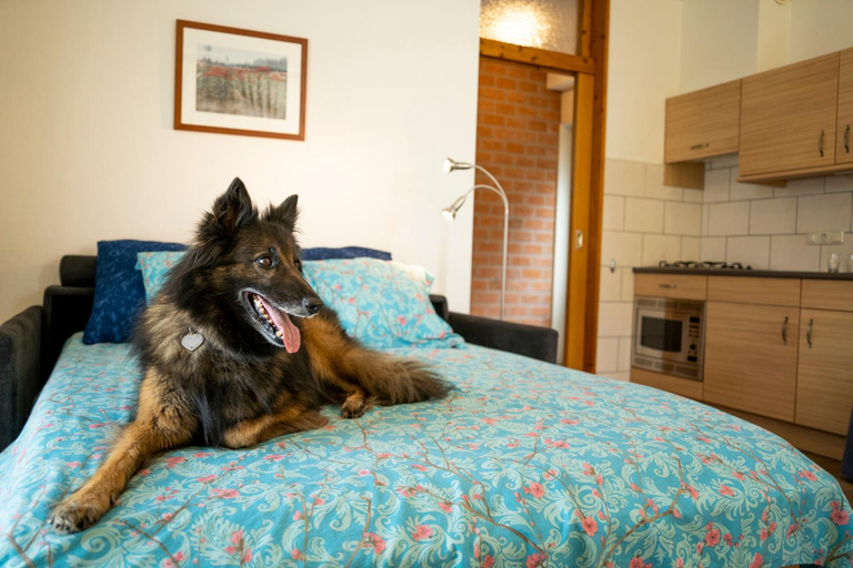 Others 4, Charmecamping & Appartementen De Regge-Vallei, Hellendoorn