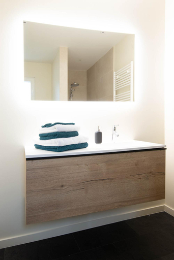 Bathroom 2, B&B Maaltebrug, Oost-Vlaanderen