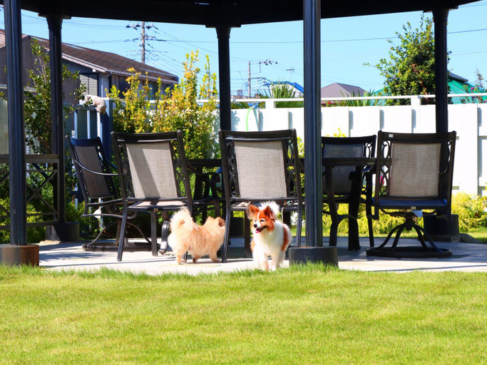 Others 5, 九十九里 SURF SIDE DOGRUN HOUSE, Kujūkuri