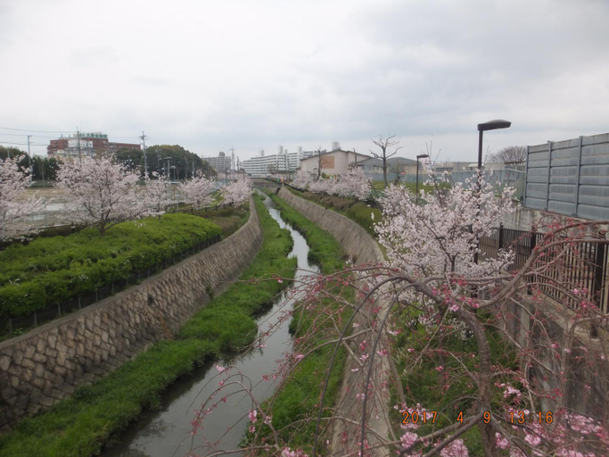 Others 4, Hirakata-park Guesthouse, Hirakata