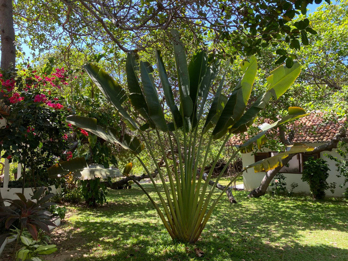 Others 5, Villa Gaia, Barreirinhas