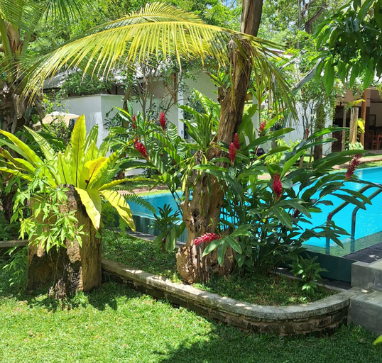 Others 4, Kandalama Lodge, Dambulla