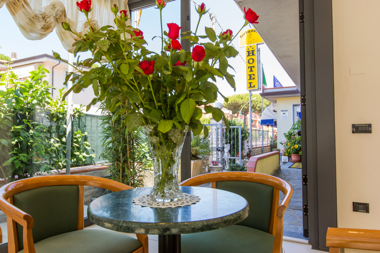 Public Area 2, Hotel Fortunella, Lucca