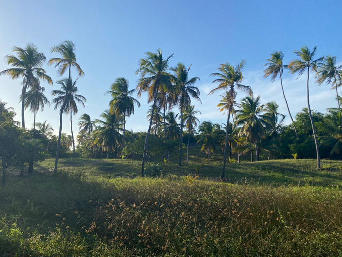 Others 3, Villa Gaia, Barreirinhas